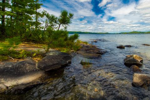 Lake Shore