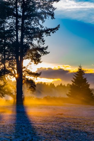 Twin Beaches Mist